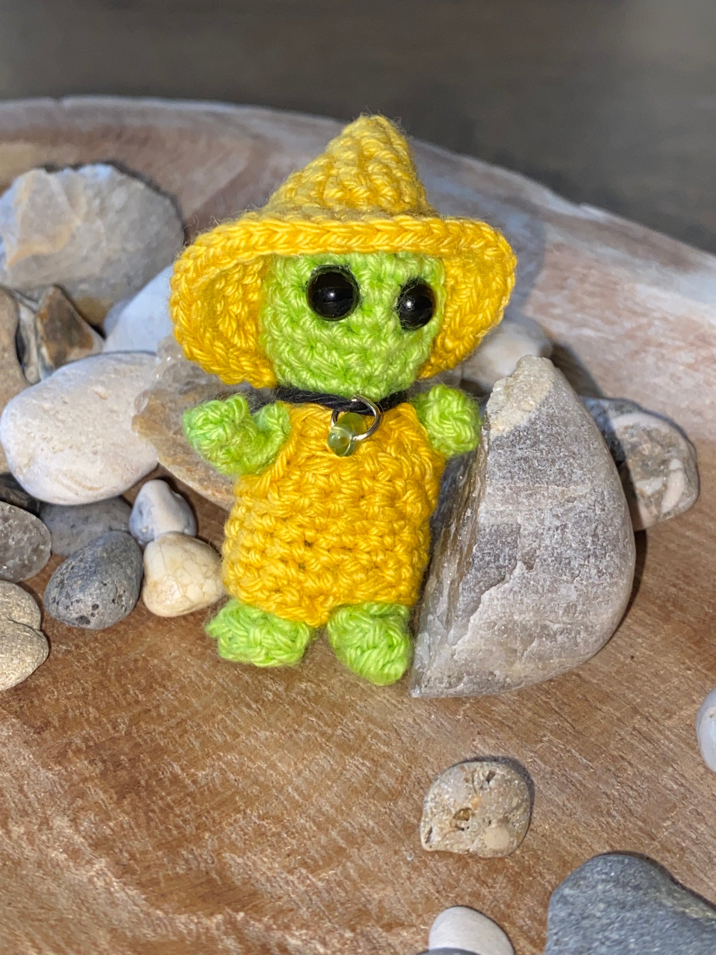 Compagnon anti-mélancolie