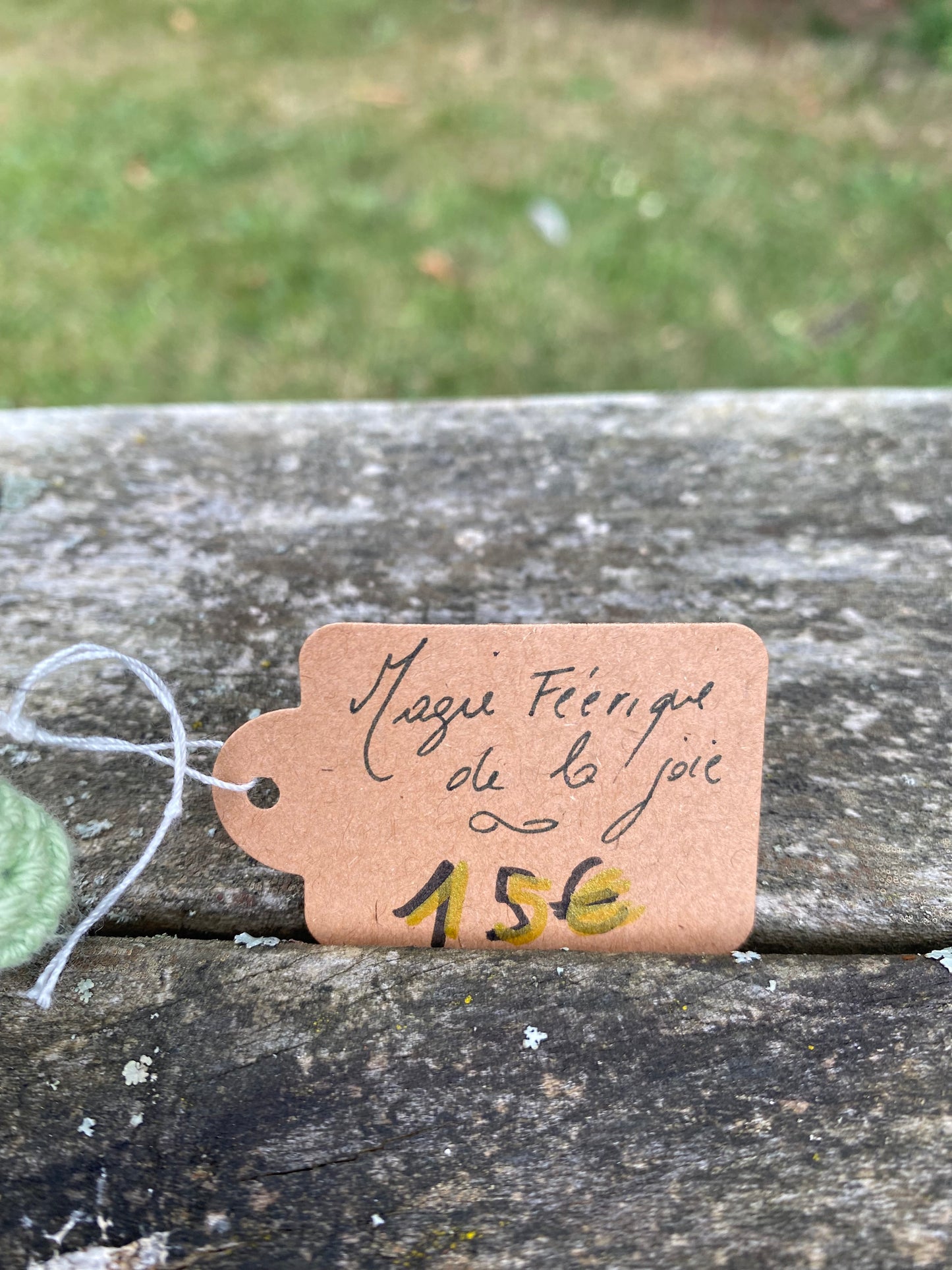 Magie féerique de la joie