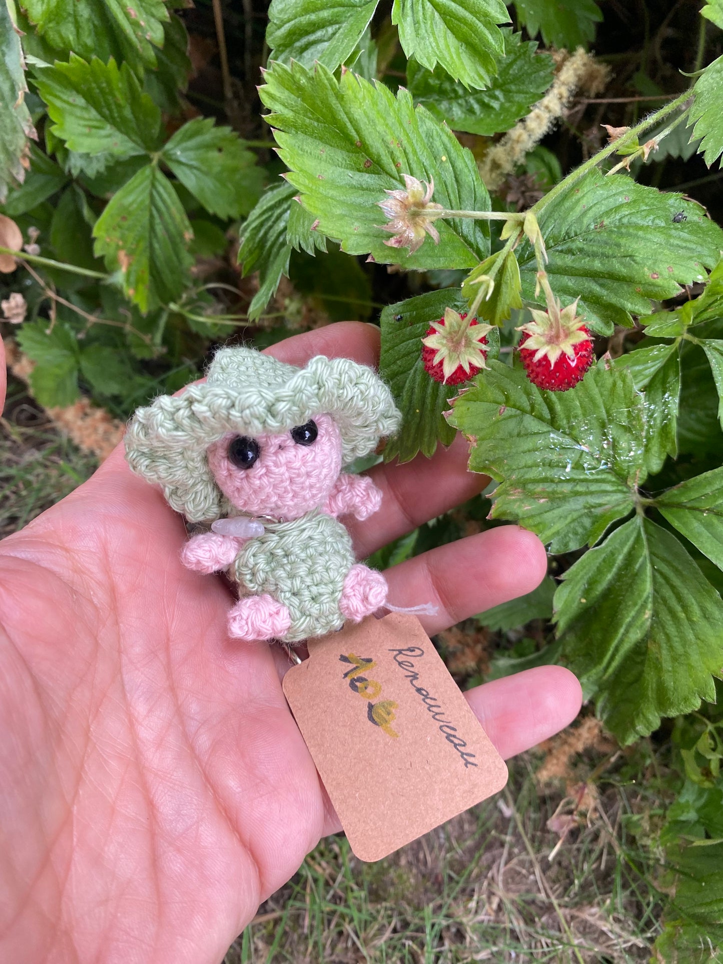 Compagnon de vie – Renouveau